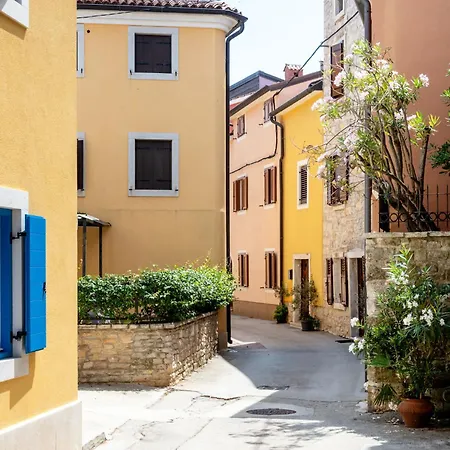 Apartman Mit Terrasse By Interhome Novigrad Istria